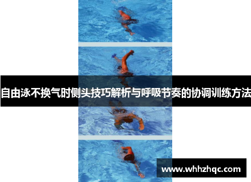 自由泳不换气时侧头技巧解析与呼吸节奏的协调训练方法
