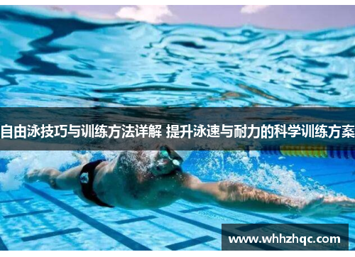 自由泳技巧与训练方法详解 提升泳速与耐力的科学训练方案